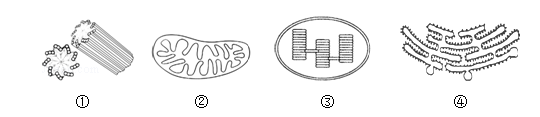 北京教师资格考试高中生物《细胞的基本结构》练习题